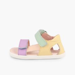 Multicolor